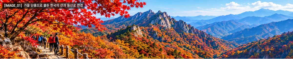 가을 단풍으로 물든 한국의 산과 등산로 전경 연출사진