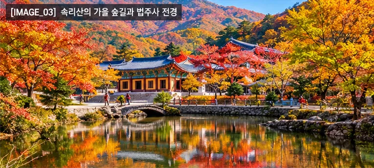속리산의 가을 숲길과 단풍, 법주사 주변의 고즈넉한 풍경 연출사진