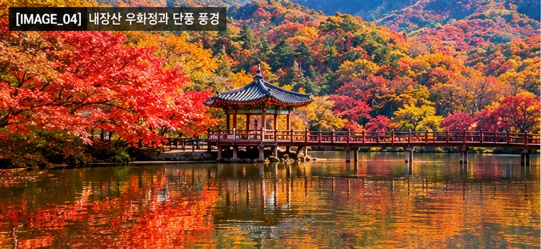 내장산 우화정과 붉은 단풍나무가 연못에 비치는 가을 풍경 연출사진